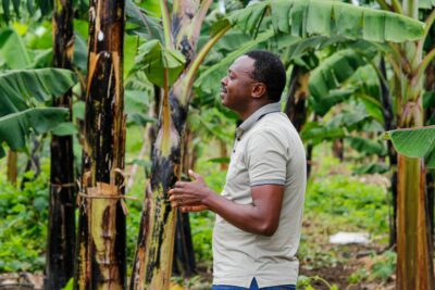 Farmer’s Profit & Market Growth Toolkit